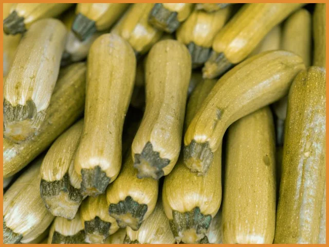 Cukinia