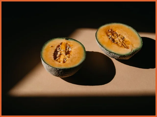 Melon Cantaloupe