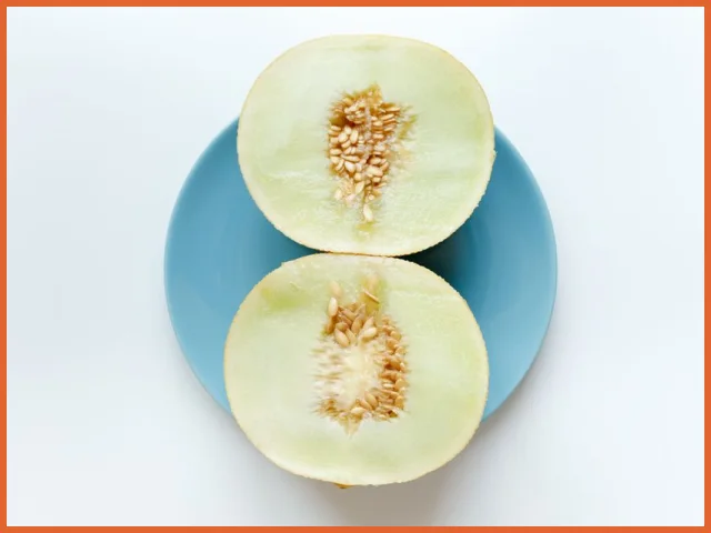 Melon Gala