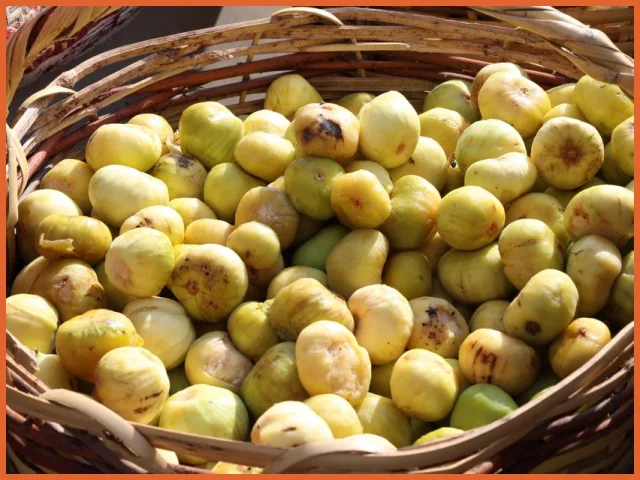 Figi