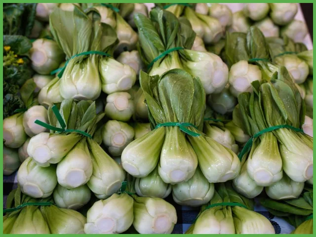 Pak Choi